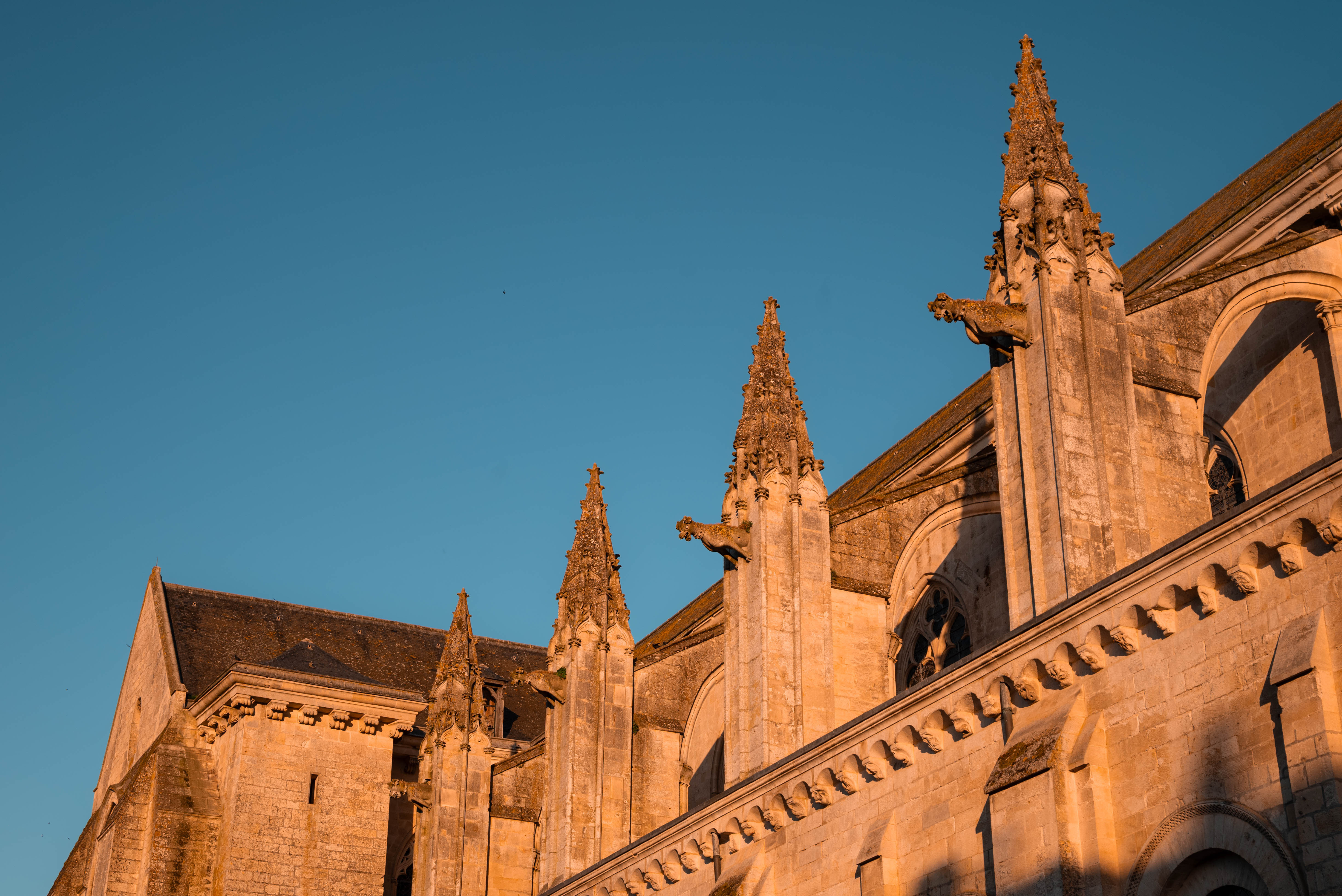 Les gargouilles de l'Abbatiale de Saint-Maixent-L'École