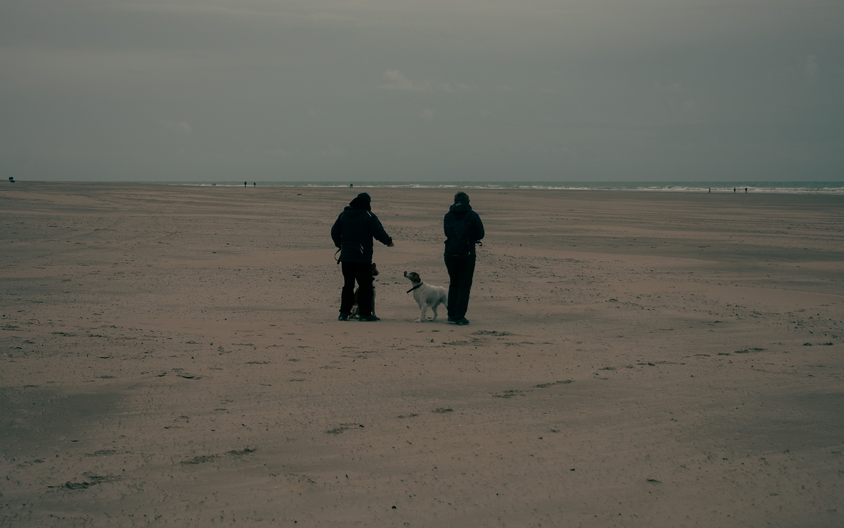 Plage Berck-sur-Mer