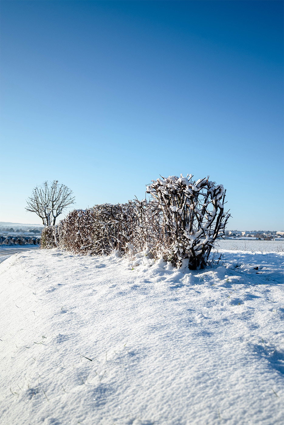 Exireuil sous son manteau neigeux