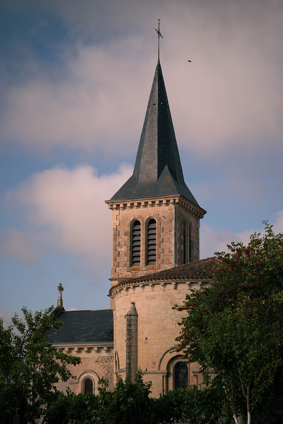 L'église Saint-Martin de Salles