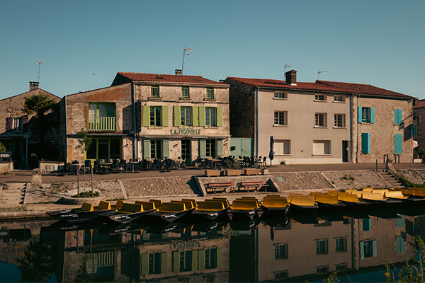 Coulon