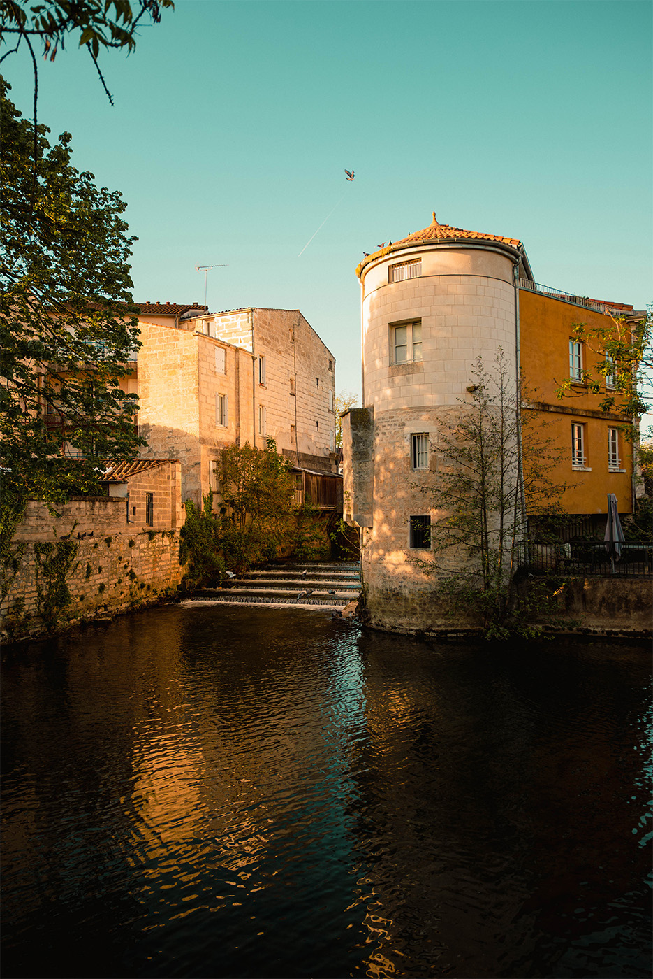 Aux abords de la Sèvre Niortaise - Niort